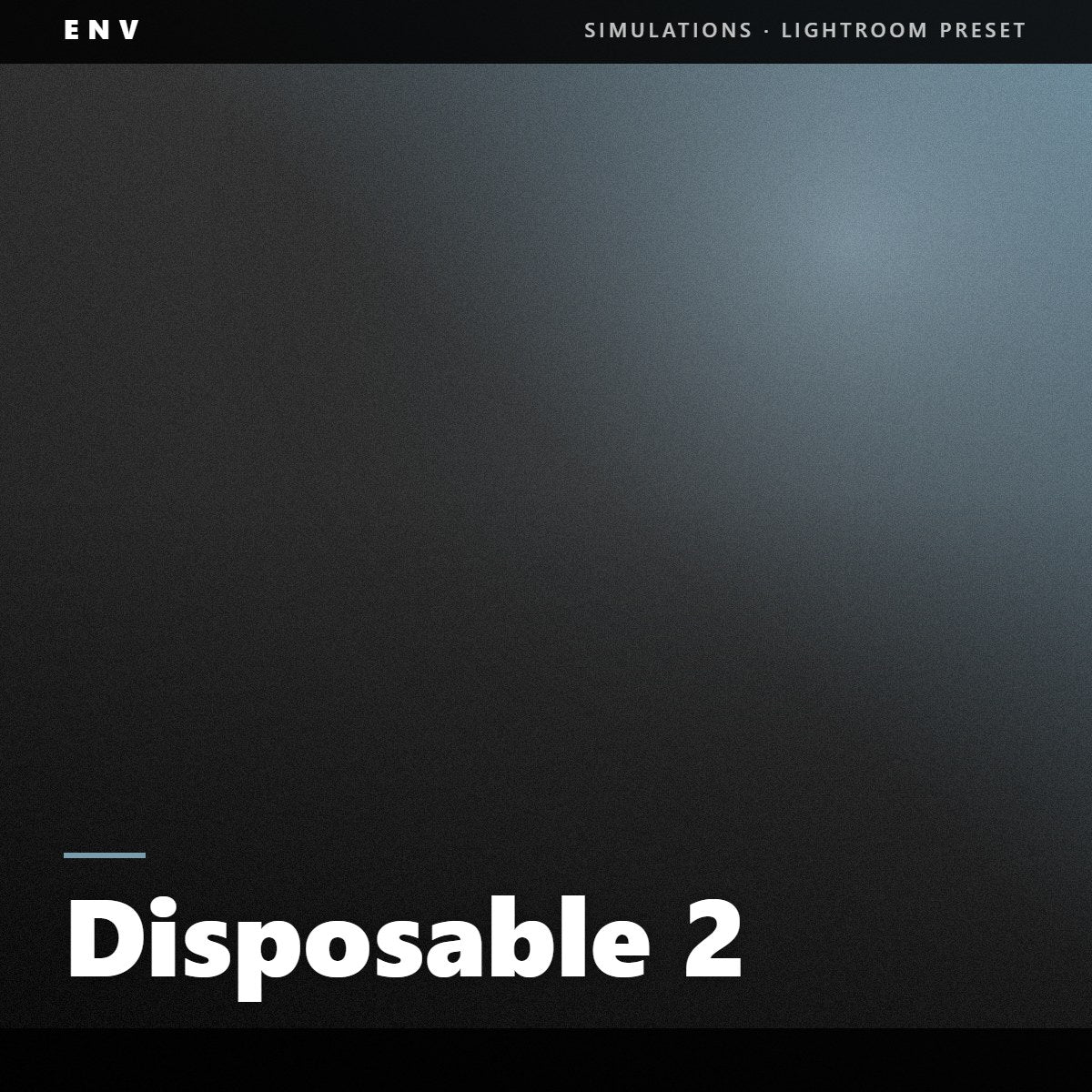 Disposable 2
