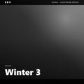 Winter 3